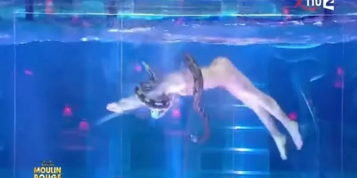 Famoso cabaré encerra polêmico espetáculo com serpentes; vídeo