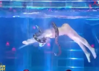 Famoso cabaré encerra polêmico espetáculo com serpentes; vídeo