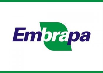 NOVO COMANDO DA EMBRAPA