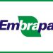 NOVO COMANDO DA EMBRAPA