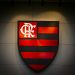 Coluna Douglas Cruz – FALANDO DE TUDO UM POUCO – O Flamengo um dos maiores clubes de futebol do Brasil