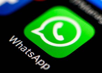 WhatsApp vai lançar compartilhamento de tela em conversas pelo app