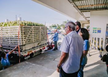 Cícero Lucena acompanha distribuição de 60 toneladas de milho para 25 mil famílias