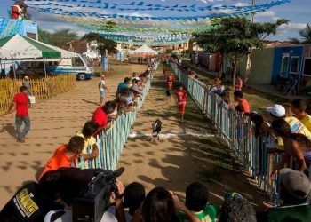 Festa do Bode: Justiça proíbe violência contra animais, em Cabaceiras