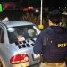 PRF na PB recupera 3 veículos, 13 celulares e 6 pessoas são detidas em ocorrências criminais