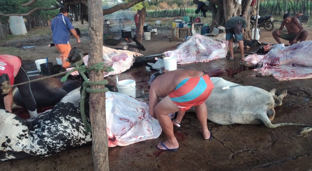 Imundice em “Matadouro Público” revolta população de Itaporanga