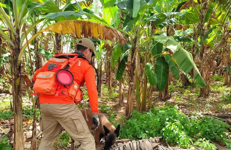 Ministério da Saúde suspende envio de verbas para nove municípios da Paraíba; veja documento