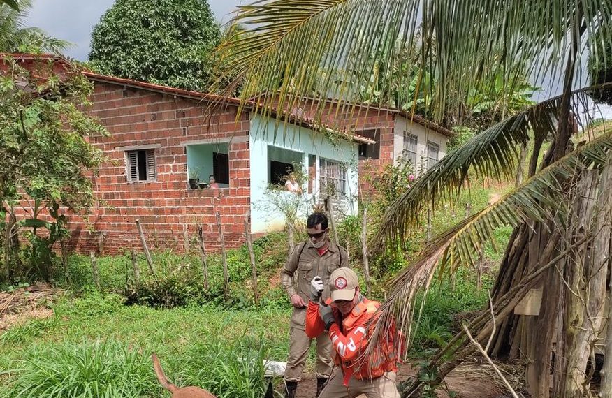 Bombeiros usam quatro equipes e cães farejadores nas buscas por Ana Sophia neste domingo