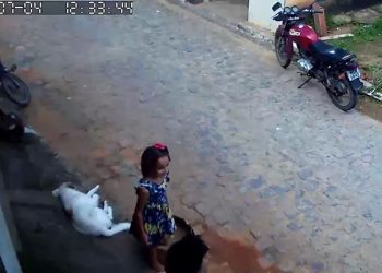 Delegado aponta suspeita de Ana Sophia estar enterrada e fala em “crime de proximidade”