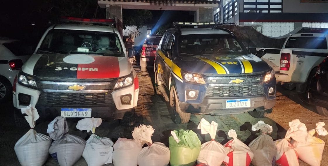 PRF em ação conjunta com a Polícia Militar apreende mais de 260kg de explosivo na PB