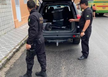 Motociclista perde controle e morre ao ser esmagado por caminhão na BR-230