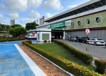 CCJ aprova projeto que inclui musicoteparia no tratamento de pessoas com deficiência e TEA