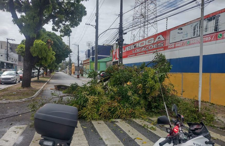 Pacto Alfabetiza Mais Paraíba: Conde tem o melhor nível de alunos leitores da região metropolitana