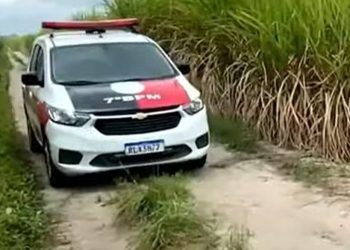 Corpo de mulher com marcas de tiros é encontrado em canavial de Santa Rita
