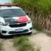 Corpo de mulher com marcas de tiros é encontrado em canavial de Santa Rita