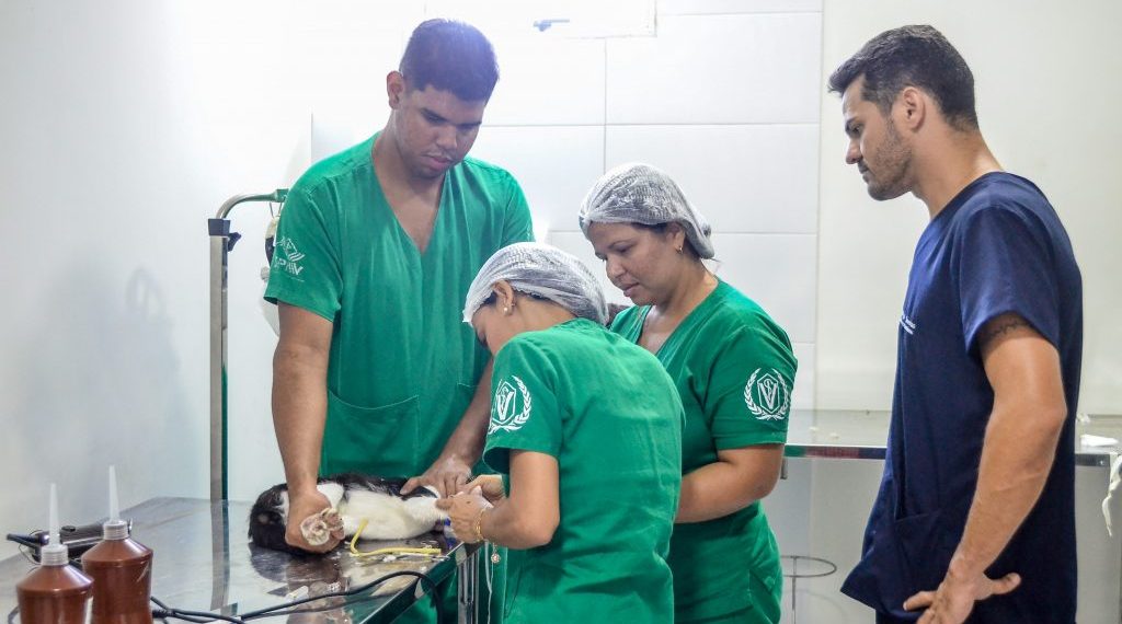 Boa nova: MEI pode contratar até R＄ 24 mil no Banco do Nordeste com garantia do Governo Federal