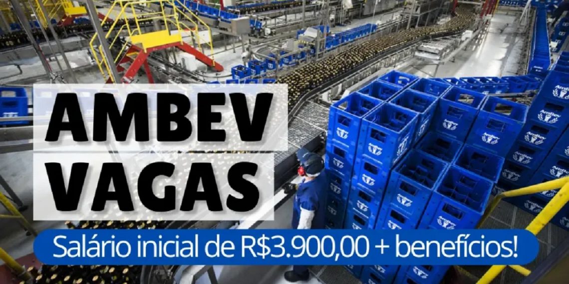 Ambev abre 300 vagas de emprego com possibilidade de Home Office