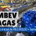 Ambev abre 300 vagas de emprego com possibilidade de Home Office
