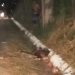 Ex-presidiário é assassinado a pedradas na Ilha do Bispo, em João Pessoa