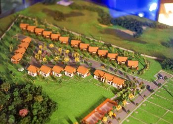 Mercado distingue Vinesse como a melhor opção em Bananeiras