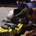 Com apoio de cães farejadores, polícia encontra maconha escondida em ônibus na PB