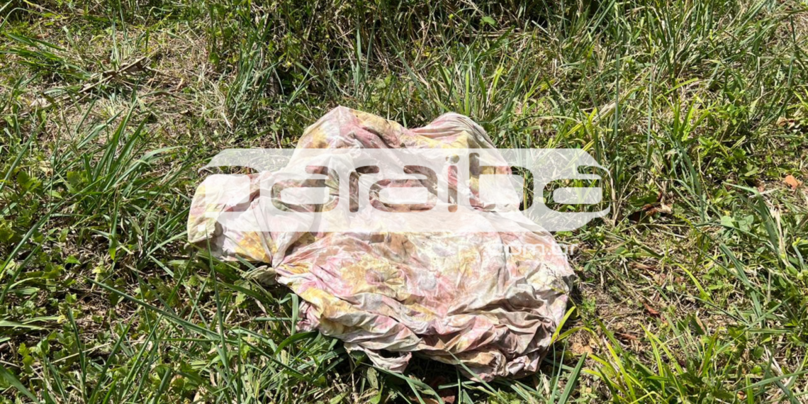 Caso Ana Sophia: Osso e tecido com sangue são encontrados em região de buscas pelo corpo