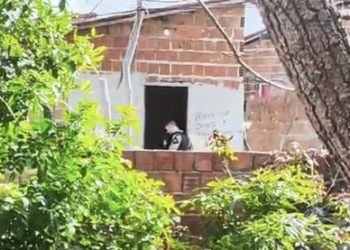 Homem é encontrado morto com sinais de violência em Mangabeira; companheira é detida