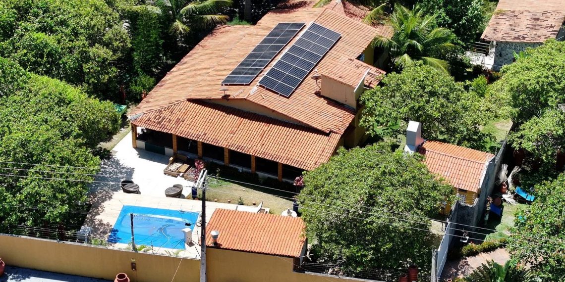 Decisão da Justiça: Cães e gatos resgatados de granja do Padre Egídio serão doados na próxima semana