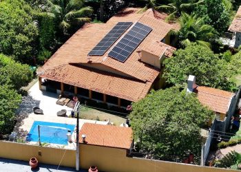 Decisão da Justiça: Cães e gatos resgatados de granja do Padre Egídio serão doados na próxima semana