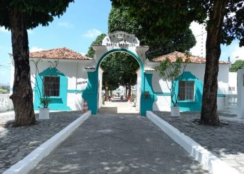 Prefeitura de JP investiga envenenamento de gatos no cemitério Santa Catarina