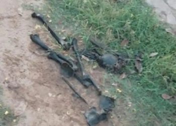 Ossada humana é encontrada dentro de saco por trás da Prefeitura de Alagoa Grande