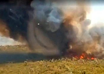 Com 21,5 mil focos, número de queimadas na caatinga em 2023 foi o mais alto desde 2010