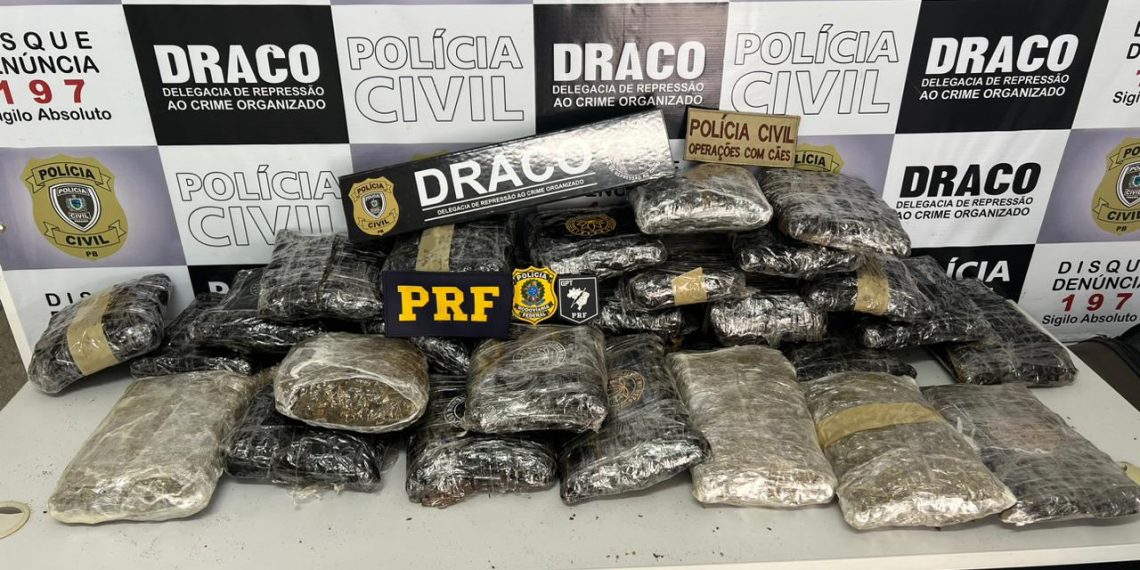 PRF e DRACO apreende 20 kg de supermaconha avaliada em mais de meio milhão de reais, na Paraíba