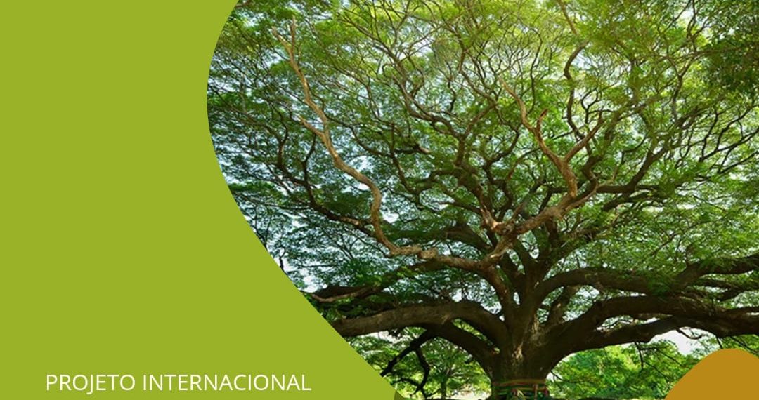 UBAM cria o Projeto Internacional CabonZERO – 500 Milhões de Dólares para os Municípios por compensação ambiental