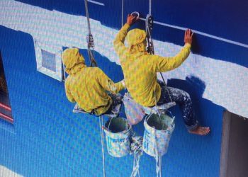 Prefeitura de Santa Rita pagará quase R$ 3 milhões para contenção de pragas na cidade