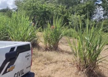 Corpo de homem é encontrado em área de mata, em Santa Rita