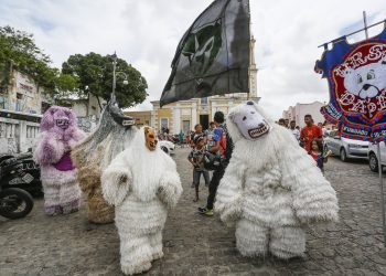 Carnaval Tradição termina hoje em João Pessoa com desfile dos ursos e Maracatu Pé de Elefante