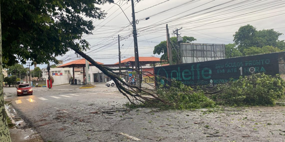 Chuva com fortes ventos provocam quedas de árvores, telhados e deixa prejuízo em JP