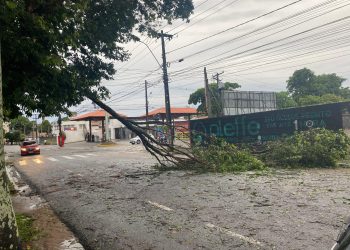 Chuva com fortes ventos provocam quedas de árvores, telhados e deixa prejuízo em JP