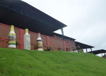 Instalações do Engenho Triunfo pegam fogo em Areia; ainda não se sabe o que provocou o incêndio