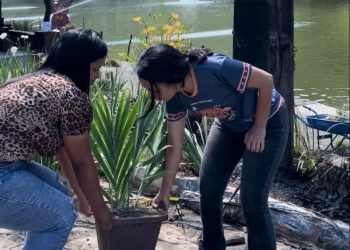 População de Areia se mobiliza para ajudar na recuperação do Engenho Triunfo