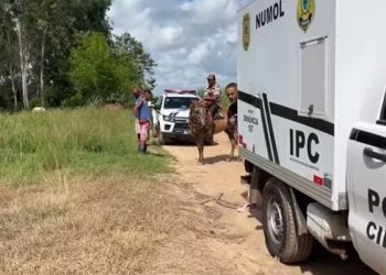 Suspeito de matar e ocultar corpo de homem em canavial é preso