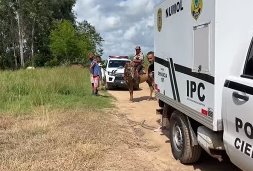 Suspeito de matar e ocultar corpo de homem em canavial é preso
