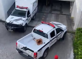 Homem é assassinado a tiros em estacionamento de shopping no Altiplano, em João Pessoa