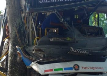 Ônibus desgovernado bate em carros e árvore no Parque da Lagoa