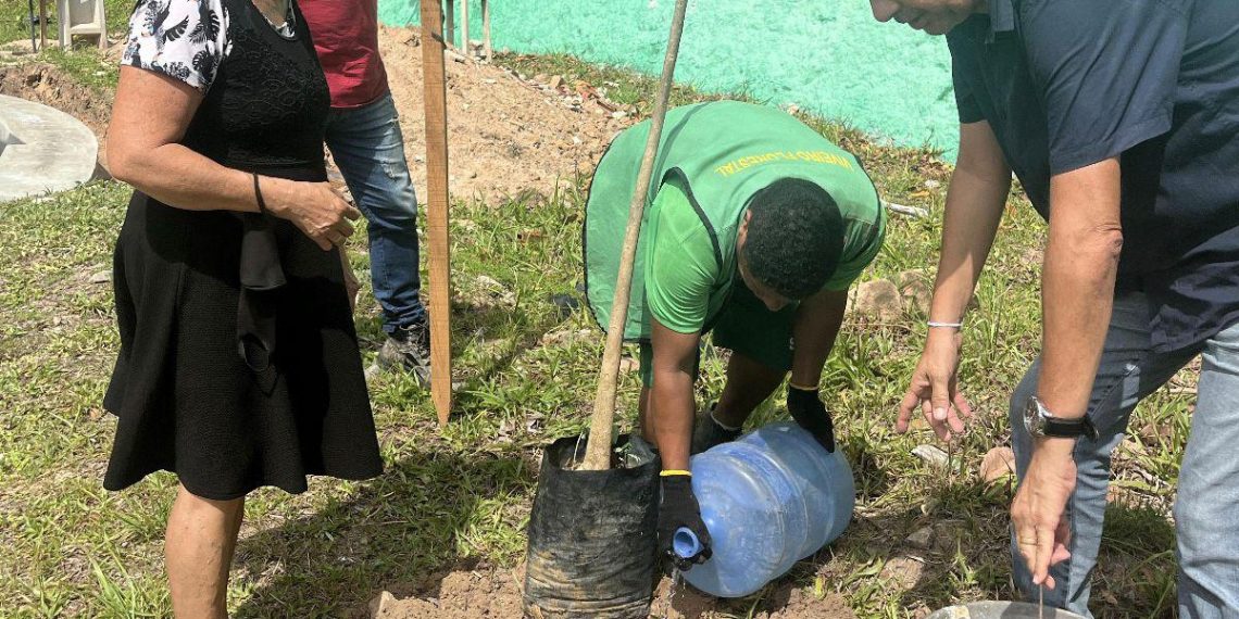 Semam planta 140 novas árvores nas calçadas e canteiro central da Avenida Ruy Carneiro