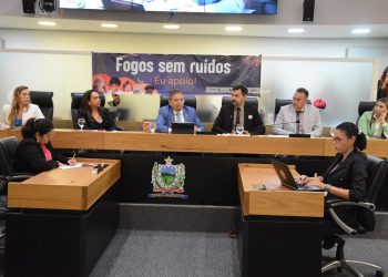 ALPB debate projeto que proíbe venda de fogos de artifício com estampido na Paraíba