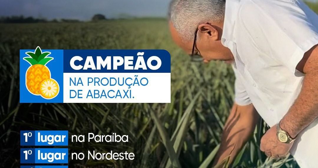 Pedras de Fogo é o maior produtor de abacaxi do Nordeste e o 3º do Brasil