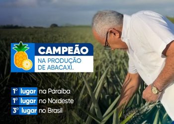 Pedras de Fogo é o maior produtor de abacaxi do Nordeste e o 3º do Brasil