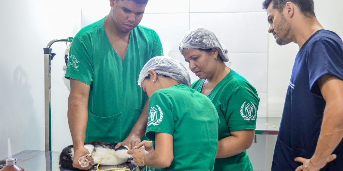 Clínica do Pet completa um ano de ações inovando no atendimento de animais domésticos